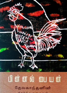 பின்னல் பையன்