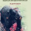 கோயில் கலையும் சமூக வரலாறும்