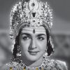 திரைப்படச் சோலை
