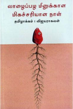வாழைப்பழ மீனுக்கான மிகச்சரியான நாள்