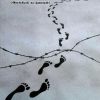 நாடிலியின் பாதக் குறிப்புகள்
