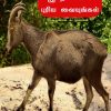 சிறுவர்களுக்கு இயற்கையை புரிய வையுங்கள்