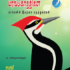 மரங்கொத்திகள்; மரங்களின் இயற்கை மருத்துவர்கள்