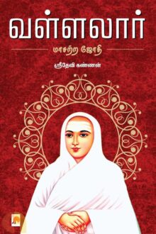 வள்ளலார்: மாசற்ற ஜோதி
