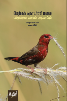 மேற்குத் தொடர்ச்சி மலை