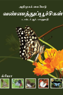 வண்ணத்துப்பூச்சிகள் (அறிமுகக் கையேடு)