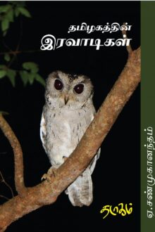 தமிழகத்தின் இரவாடிகள்